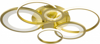 Потолочная люстра Saturn 10248/6LED